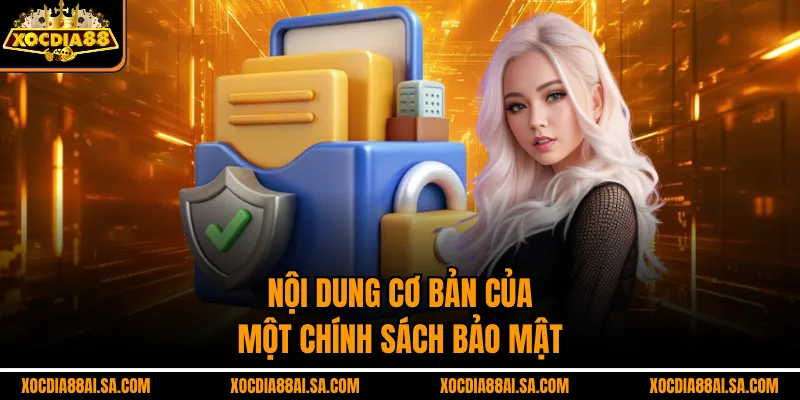 Nội dung cơ bản của một chính sách bảo mật